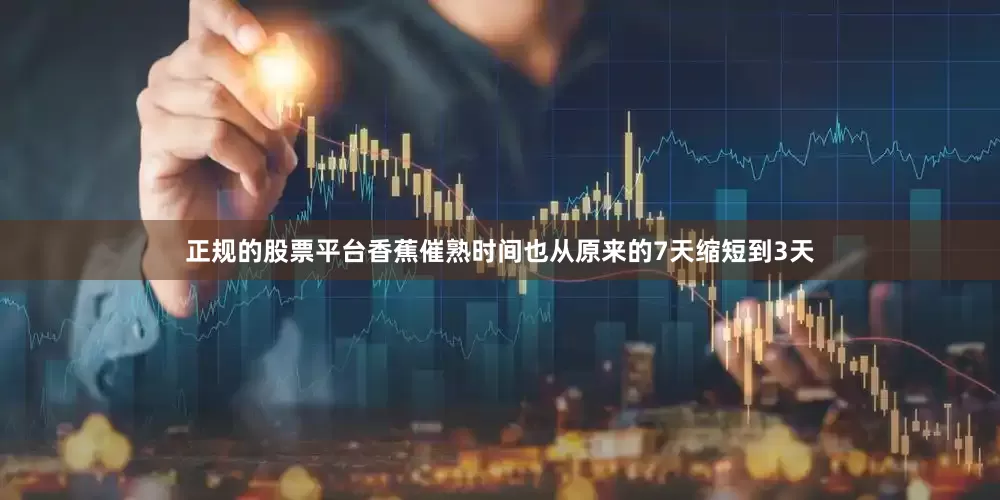 正规的股票平台香蕉催熟时间也从原来的7天缩短到3天