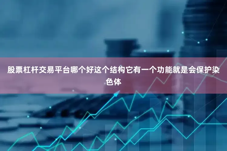 股票杠杆交易平台哪个好这个结构它有一个功能就是会保护染色体