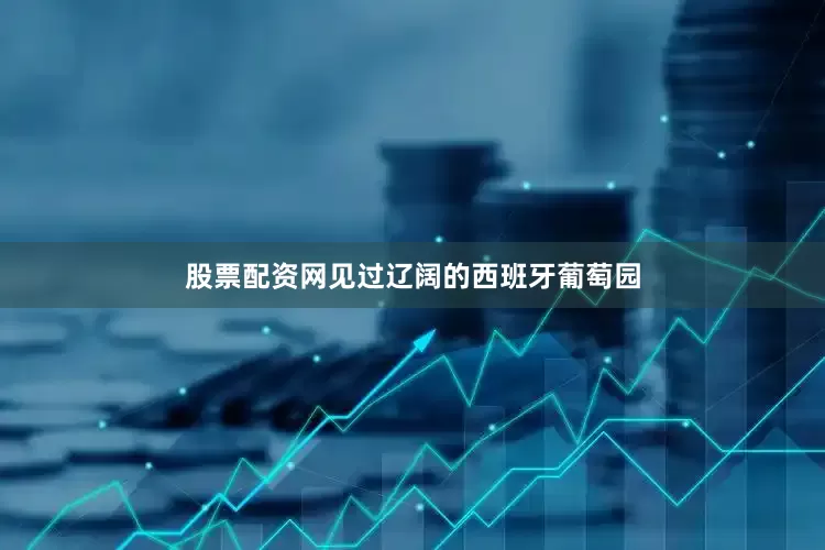 股票配资网见过辽阔的西班牙葡萄园