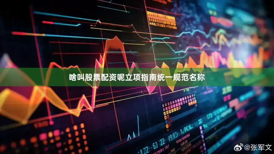 啥叫股票配资呢立项指南统一规范名称