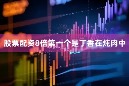 股票配资8倍第一个是丁香在炖肉中