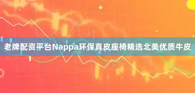 老牌配资平台Nappa环保真皮座椅精选北美优质牛皮