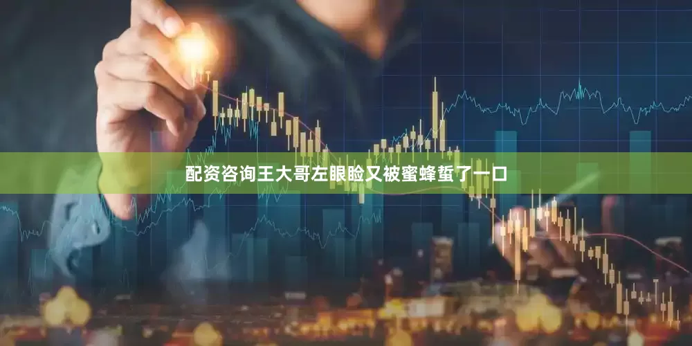 配资咨询王大哥左眼睑又被蜜蜂蜇了一口