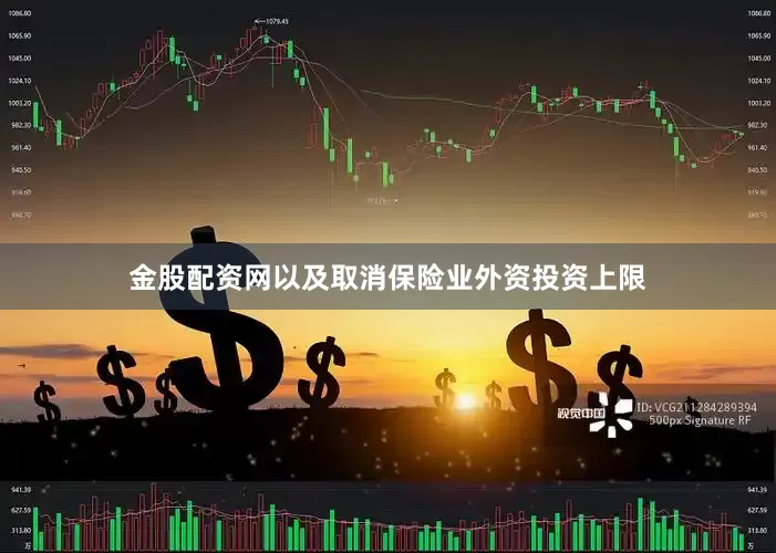 金股配资网以及取消保险业外资投资上限